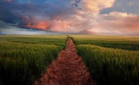 Al quran berisi tentang hukum dan juga tuntunan manusia dalam menjalani kehidupan di dunia. Makna Dan Hakikat Hidayah Allah