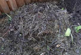 Maybe you would like to learn more about one of these? Why Does My Compost Pile Stink And How To Fix It Composting Basics