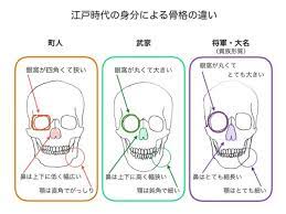 頭蓋骨から蘇る生前の顔 復顔像で辿る日本人のルーツ readyfor レディーフォー 復顔 頭蓋骨 日本人