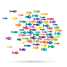 Choosing a baby name can be a difficult decision. 1001 Fish Names All The Best Ideas You Didn T Think Of List Fishkeeping World