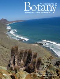 Image result for Sorghastrum stipoides