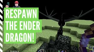 Tinted glass drops as an item when broken with any tool or by hand, unlike other glass. How To Respawn The Ender Dragon In Minecraft