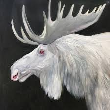 Albino Moose