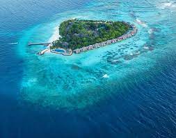 The Maldives Island Taj Coral Reef Maldives Maldives Island Maldives Travel Maldives