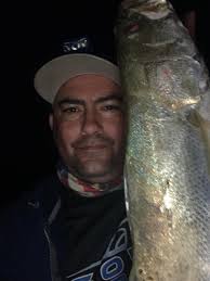 Slow day but managed these right here. 24” trout was returned to the water  to fight another day.