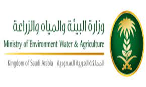 سعادة عميد كلية العلوم يستقبل وكيل وزارة البيئة والمياه والزراعة. ÙØªØ­ ØªÙ‚Ø¯ÙŠÙ… ÙˆØ¸Ø§Ø¦Ù ÙˆØ²Ø§Ø±Ø© Ø§Ù„Ø¨ÙŠØ¦Ø© ÙˆØ§Ù„Ù…ÙŠØ§Ù‡ ÙˆØ§Ù„Ø²Ø±Ø§Ø¹Ø© 1441 ÙÙŠ Ø§Ù„Ù‚Ø·Ø§Ø¹Ø§Øª Ø§Ù„Ø²Ø±Ø§Ø¹ÙŠØ© ÙˆØ¸Ø§Ø¦Ù Ø§Ù„ÙŠÙˆÙ…