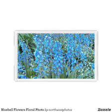 Lovely Bluebell Flowers Floral Acrylic Tray Zazzle Com Blue Bell Flowers Floral Photo Bluebells
