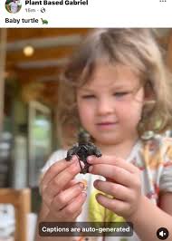 Photographing Millington's Home Town Christmas Parade