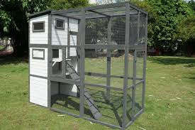 Free plans and pictures of pvc pipe projects. Large Outdoor Cat Enclosure For Sale Buy Online Save