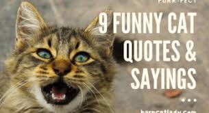 There are risks to spaying and neutering pets, but there are also a lot of benefits. Quotes Archives The Barn Cat Lady