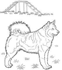 Husky Coloring Page From Dogs Category Select From 24104 Printable Crafts Of Cartoons Nature An Dog Coloring Page Animal Coloring Pages Horse Coloring Pages