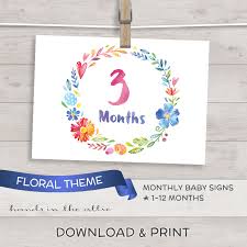 Floral Baby Monthly Milestones Printable Signs Hands In The Attic