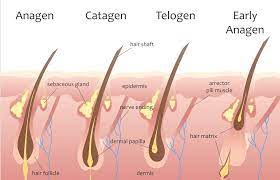 Some people are red for a few minutes, some are red for 12 hours, says grochowska. Services