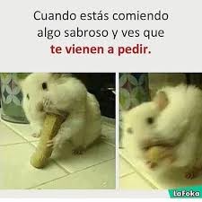 Como Enviar Mensaje Whatsapp Sin Agregar Contacto Whatsappapp Whatsapp Funny Spanish Memes Stupid Memes Memes