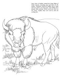 We did not find results for: Http Www Blm Gov Or Oregontrail Images Kids Page9 Gif Coloring Pages Animals Coloring Pages Buffalo Painting