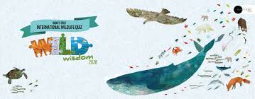 Wild Wisdom Quiz Contest 2020 Quiz Wwfindia Org Www Contest Net In