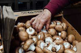 Leave As Mushroom As Possible For Success By Avoiding These Common Mistakes Bon Appetit