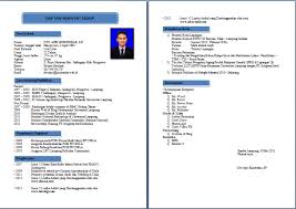 Contoh Curriculum Vitae Cv Baik Menarik Dan Benar Untuk Fresh Graduate Official Website Initu Id