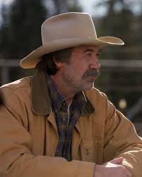 Should Shaun Johnston return to Heartland?