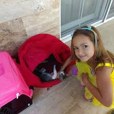 Prenses Elif Posts Facebook