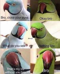 Bro Close Your Eyes Get More Gifs Funny Funnymemes Humor Videos Memes Funnypictures Funny Crazy Funny Memes Really Funny Memes Funny Relatable Memes