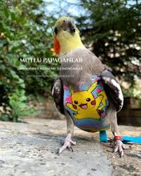 Mutlupapaganlar Shopier Papaganlar Pikachu Kus