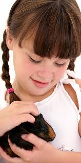 WALTHAM® pocket book of human-animal interactions