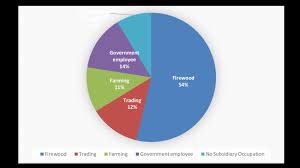 Pie Chart Showing The Subsidiary Occupations Of Pottery