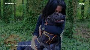 Le nouveau garde des sceaux de 59 ans est ainsi un grand amateur de corridas et de chasse au faucon. Affaire Elisa Pilarski Brigitte Bardot Interpelle Eric Dupond Moretti Afin De Sauver Le Chien Curtis