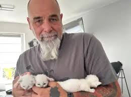 Inline-Hockey: Jade Warriors bleiben in Erfolgsspur