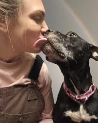 Sunny's only been with us two weeks…but we have a feeling he knows he's  home 🧡 #smilingdogchallenge