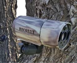 Make scouting simple with the delta cellular trail camera from moultrie moultrie mobile cellular trail cameras are certified with both nationwide carriers to ensure reliability and coverage. Best Cellular Trail Camera Buyer S Guide And Reviews In 2020 Advanced Hunter