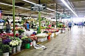 Maybe you would like to learn more about one of these? Flower Market Healthy Coconut