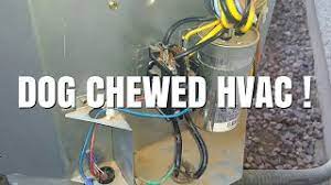 The air conditioner motor may have very large current consumption during startup, requiring large circuit breaker. Here Is How To Fix Your Hvac If Your Dog Chewed Your Wires Youtube