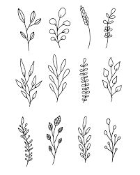 Greenery Branches Flower Drawing Drawings Simple Flower Drawing