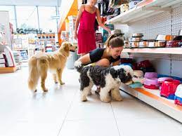 Pet goods pet food supplies and accessories with personal from pet stores near me that sell kittens. Marketing Strategy For Pet Shops