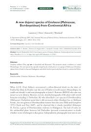 Image result for Eriolaena rulkensii