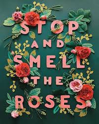 Smell The Roses A Floral Village And Have A Lovely Weekend Snippet Ink Floral Rose Hand Lettering