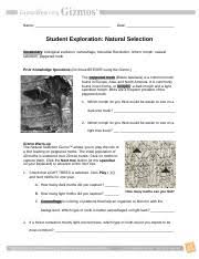 20.10.2020 · view gizmo cell types.docx from biology 1234 at bonita vista high school. Natural Selection Gizmo 2 Name Date Student Exploration Natural Selection Vocabulary Biological Evolution Camouflage Industrial Revolution Lichen Course Hero