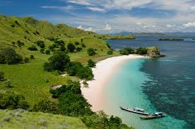 Image result for vanuatu biosphere
