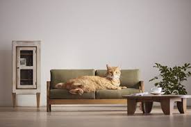 Mobilyalarda Kedi Olcegi Arkitera Mobilya Mobilya Tasarimi Kedi