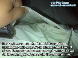 7 Astuces Pour Enlever Toutes Les Moisissures A La Maison Taches De Moisissure Enlever Les Taches De Moisissure Enlever Les Moisissures