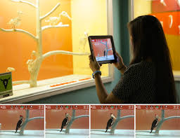 All activities are inspired by works in the collection of the national gallery of art. Skin Bones An Artistic Repair Of A Science Exhibition By A Mobile App