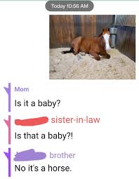 We did not find results for: My Brother Is Dad Joke Leveled Album On Imgur
