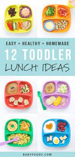 12 Healthy Toddler Lunch Ideas Recipe Healthy Toddler Lunches Easy Toddler Meals Toddler Picky Eater