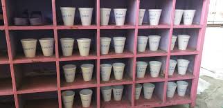 Perkecambahan untuk benih non dorman. Eksperimen Percambahan Biji Benih Wardah Kidz Centre Facebook