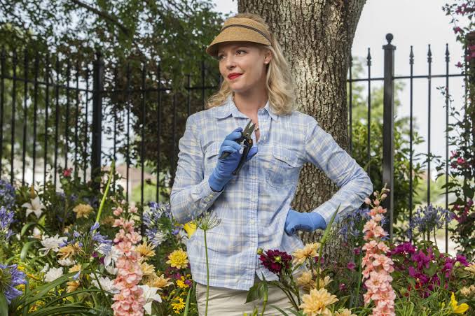 Home Sweet Hell' Review: Katherine Heigl Plays a Murderous Housewife