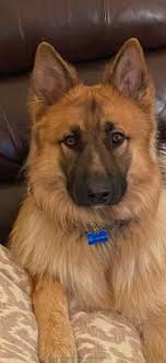 Hi all! I just wanted to introduce myself and share a photo I took