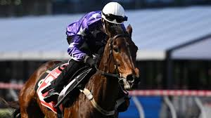 Dalma vanesa martinez erome