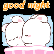 What did the host say to the audience on good night? Goodnight Gifs Tenor